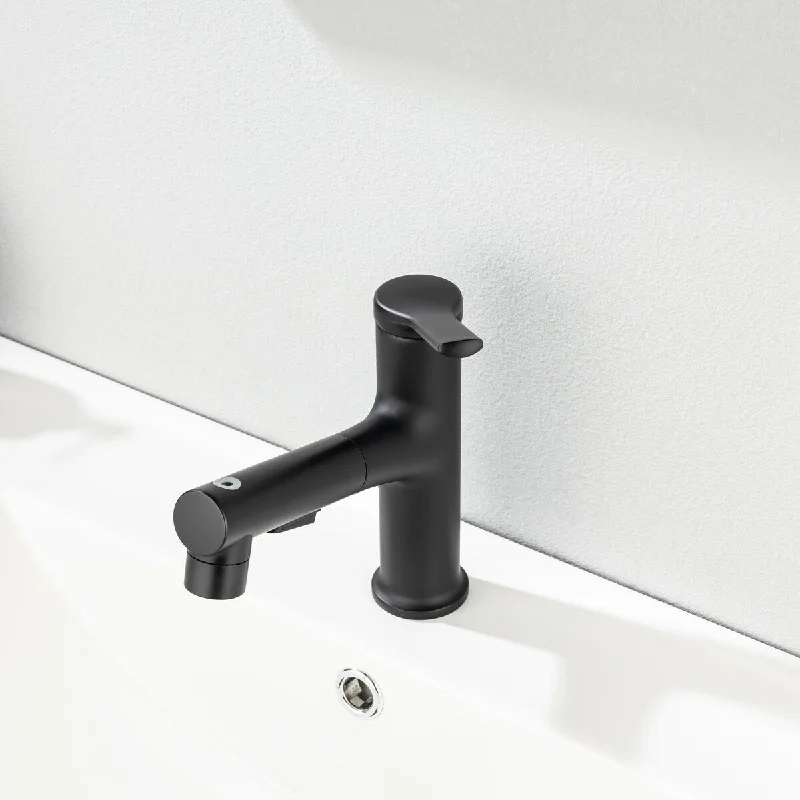 VANITYFAIR Single Hole Bathroom Faucet with Pull Out Sprayer