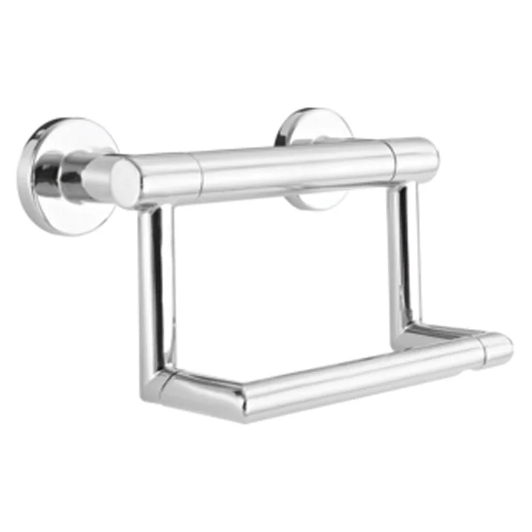 Contemporary Toilet Paper Holder with Assist Bar